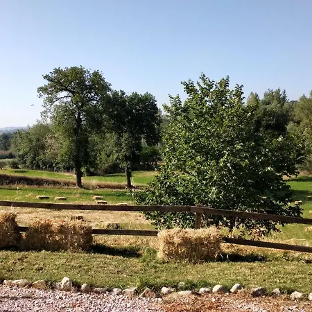 Casale Rustico Di Betta * Fratta Todina
