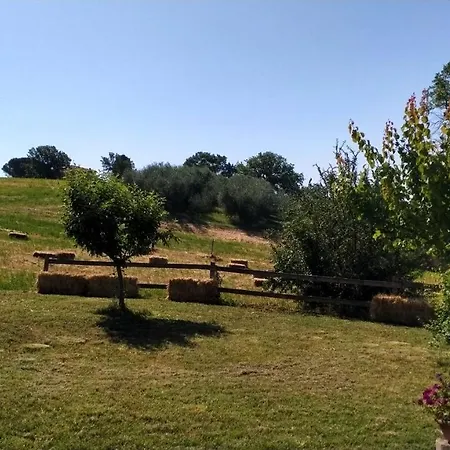 Casale Rustico Di Betta